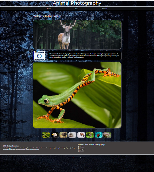 Website design for Animal Photography featuring a dark forest-themed background, gallery of wildlife images, including a deer and a vibrant frog, with navigation links and contact information.