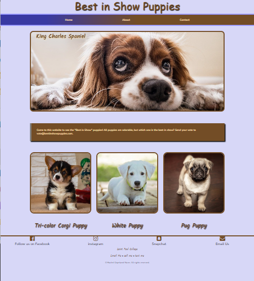 Website design for Best in Show Puppies featuring a King Charles Spaniel at the top, three puppy categories (Tri-color Corgi, White Puppy, and Pug Puppy) in the gallery section, and navigation links at the bottom.